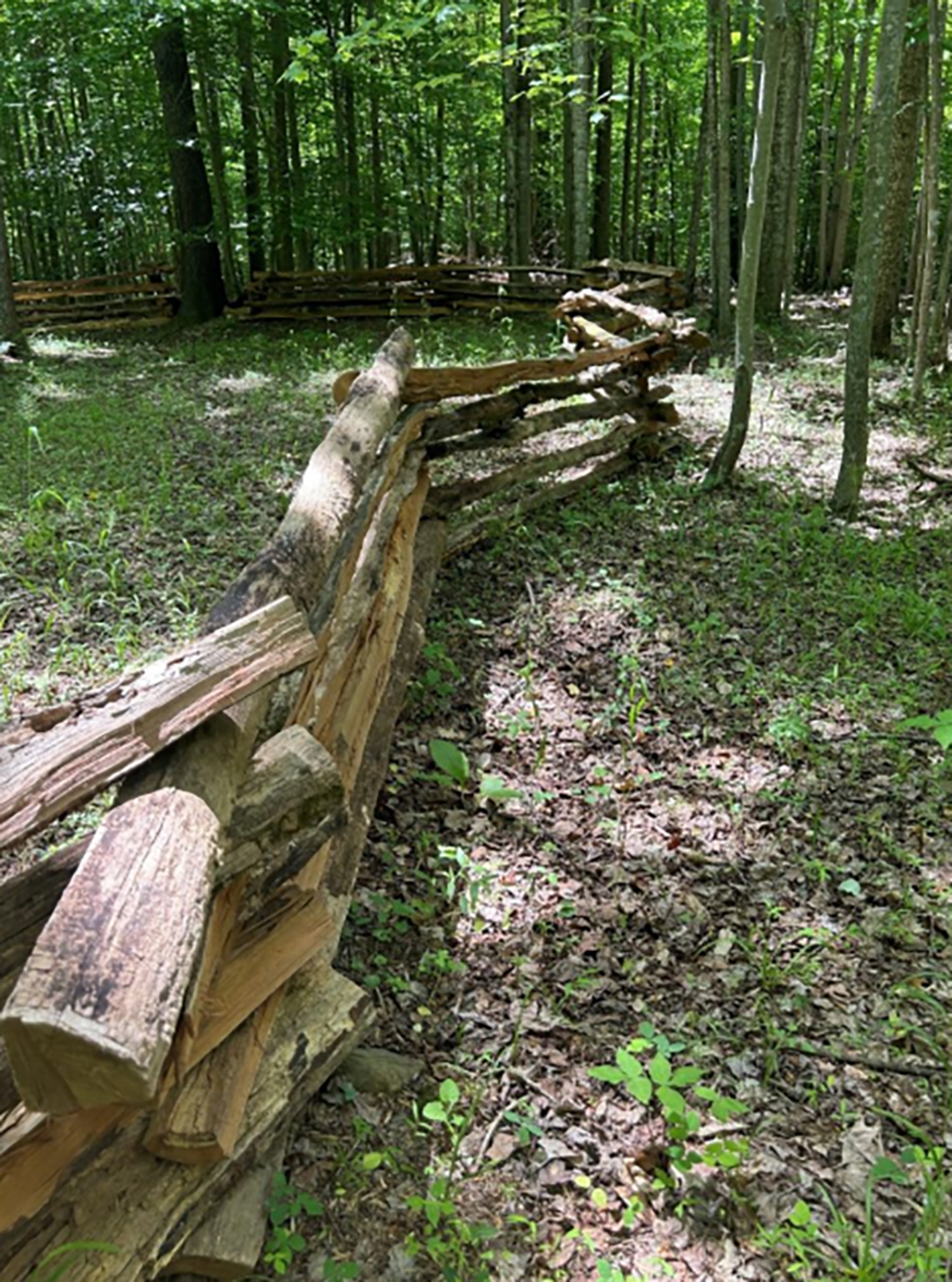 Black Locust Split-Rail Fence